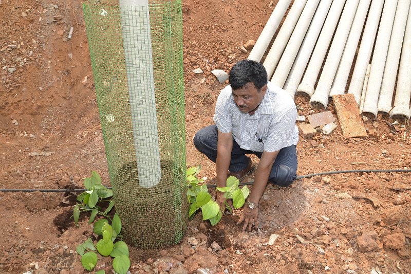 03Apr2014_00040 (149).JPG